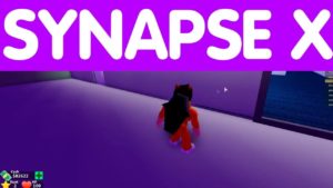 Synapse X инжектор Роблокс